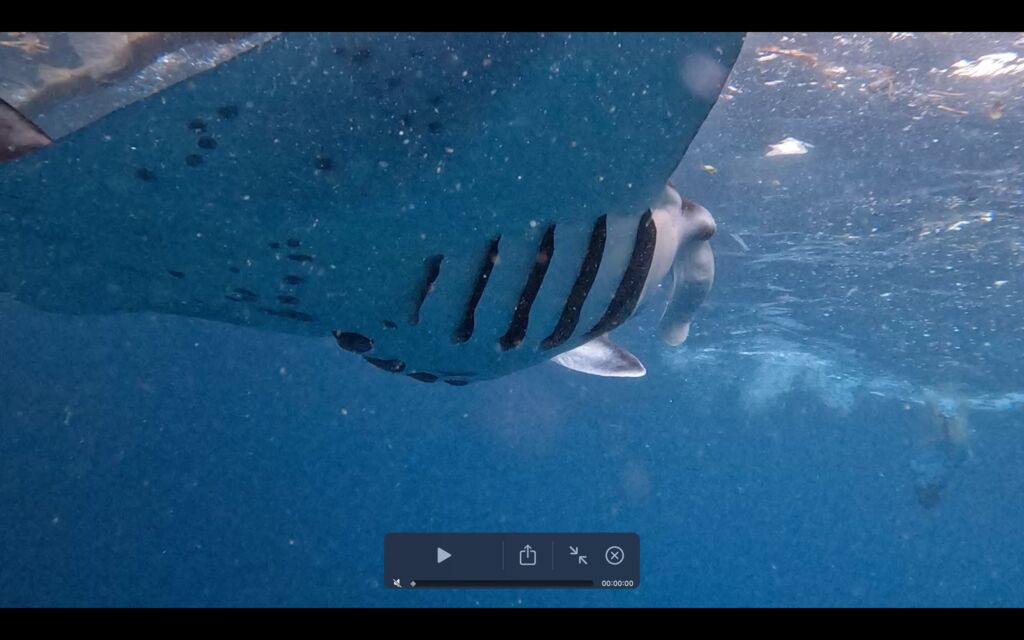 54a78869-a6d1-4f00-a7be-ac13671c9397