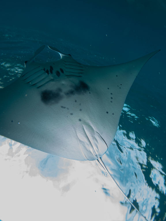 794275da-3483-4373-8a99-9a60512b8a56