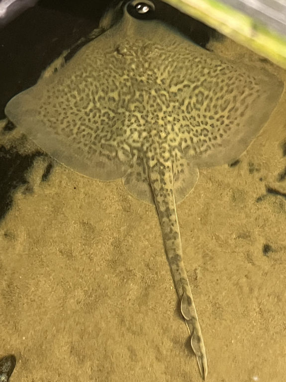 cb9d3d4c-8351-453b-8330-39a20c7c2d34