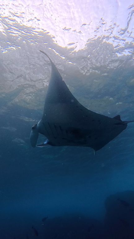 4f2618f2-3db5-4a9c-85b9-2a6c8d05467b