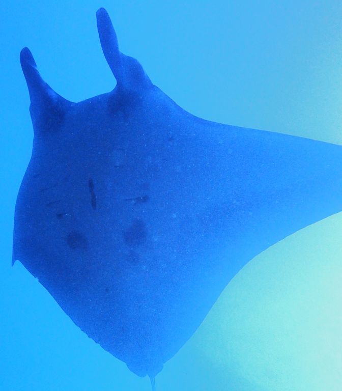 9709459a-d3de-4ab9-825f-c08ae55c961c