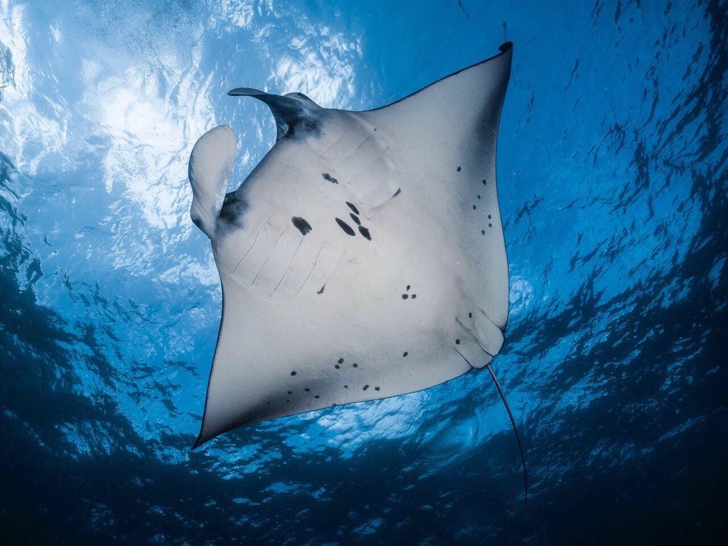 2f4334e1-6617-4040-9f73-02184e8c1e3b