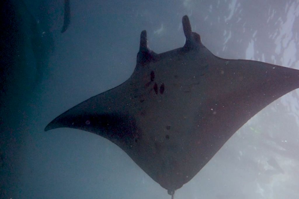 a903d124-de14-4d10-9b8c-2c26e4d26519