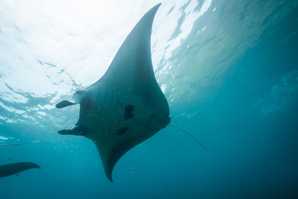 92a1070d-5337-4606-a961-bcca4d623c5b