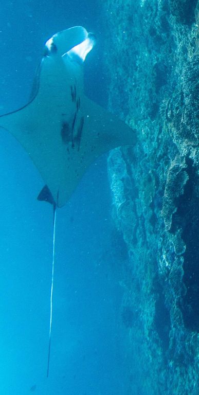 794275da-3483-4373-8a99-9a60512b8a56