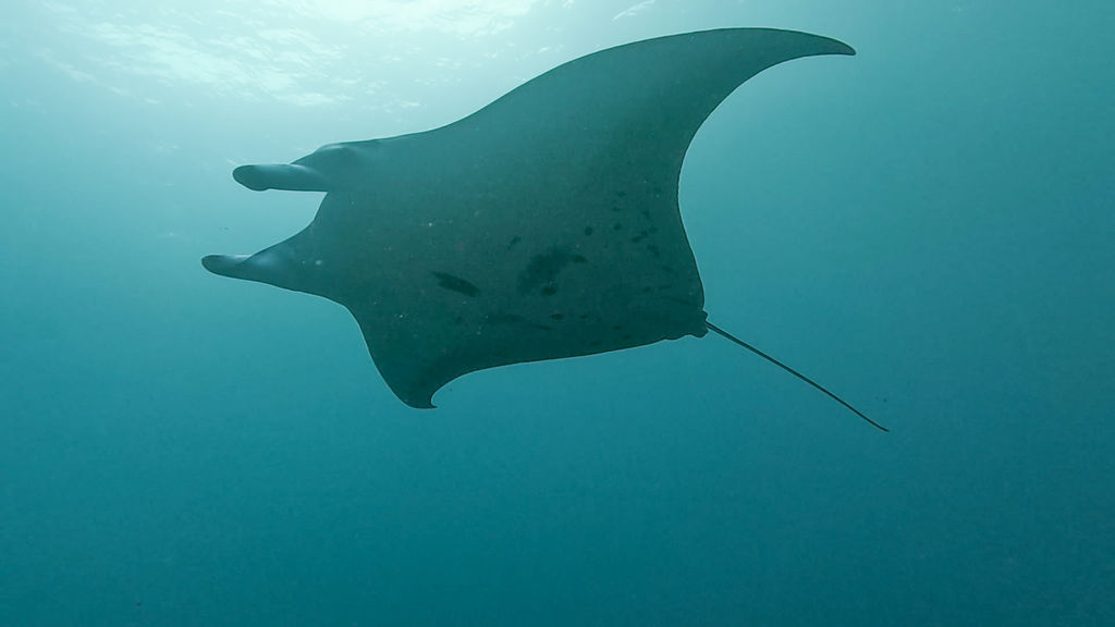 bcca5065-9e4c-4af5-9e7a-75afe255df44