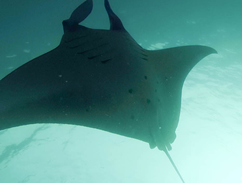 3a2d25fb-101e-41b1-b82c-ab54ab58f82d