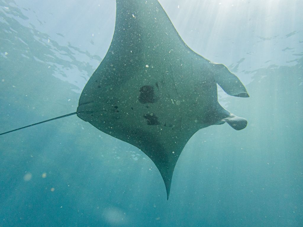 92a1070d-5337-4606-a961-bcca4d623c5b